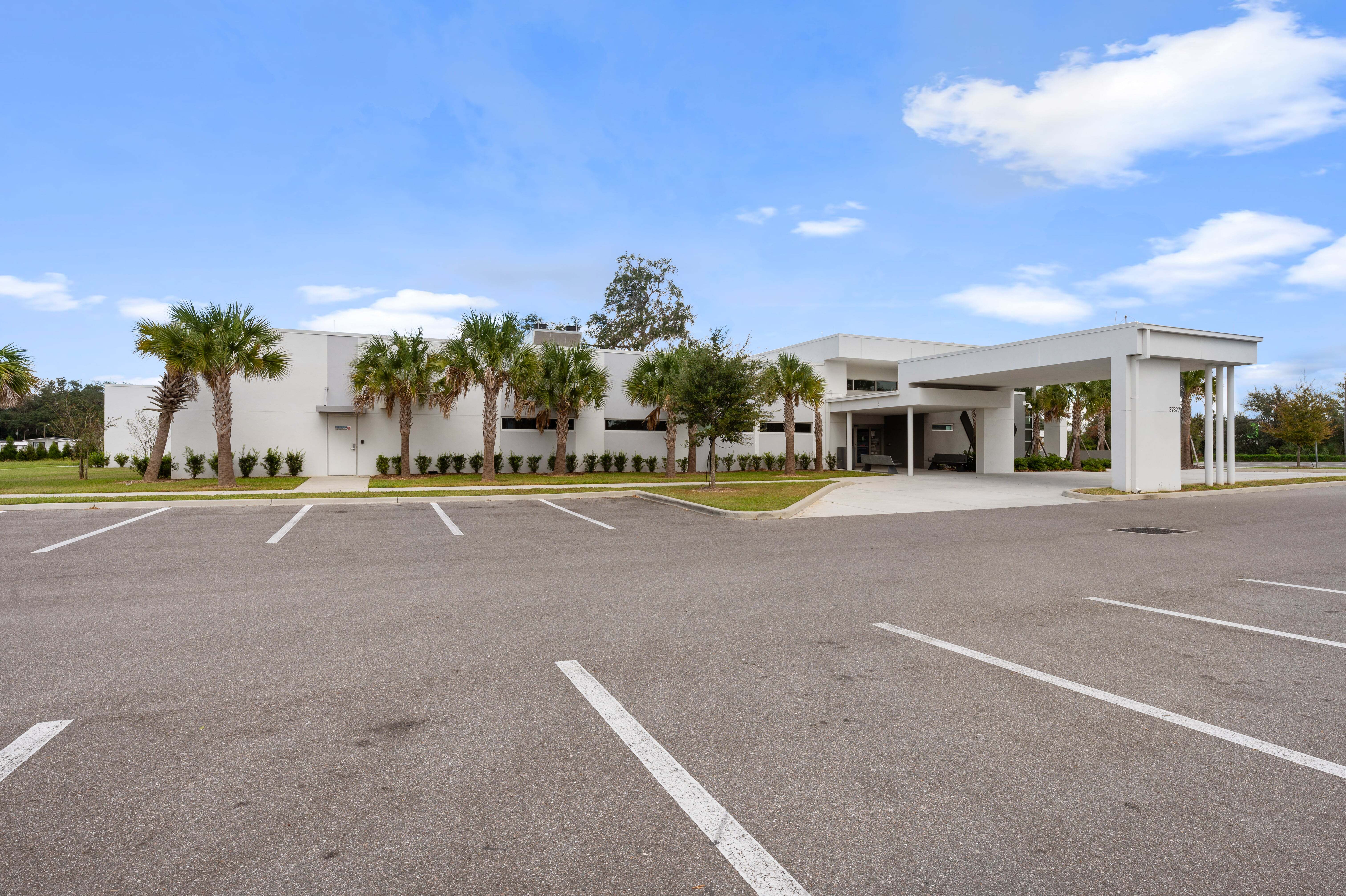 View of the front-facing parking lot with directional arrows on the pavement and trees lining the lot’s perimeter.